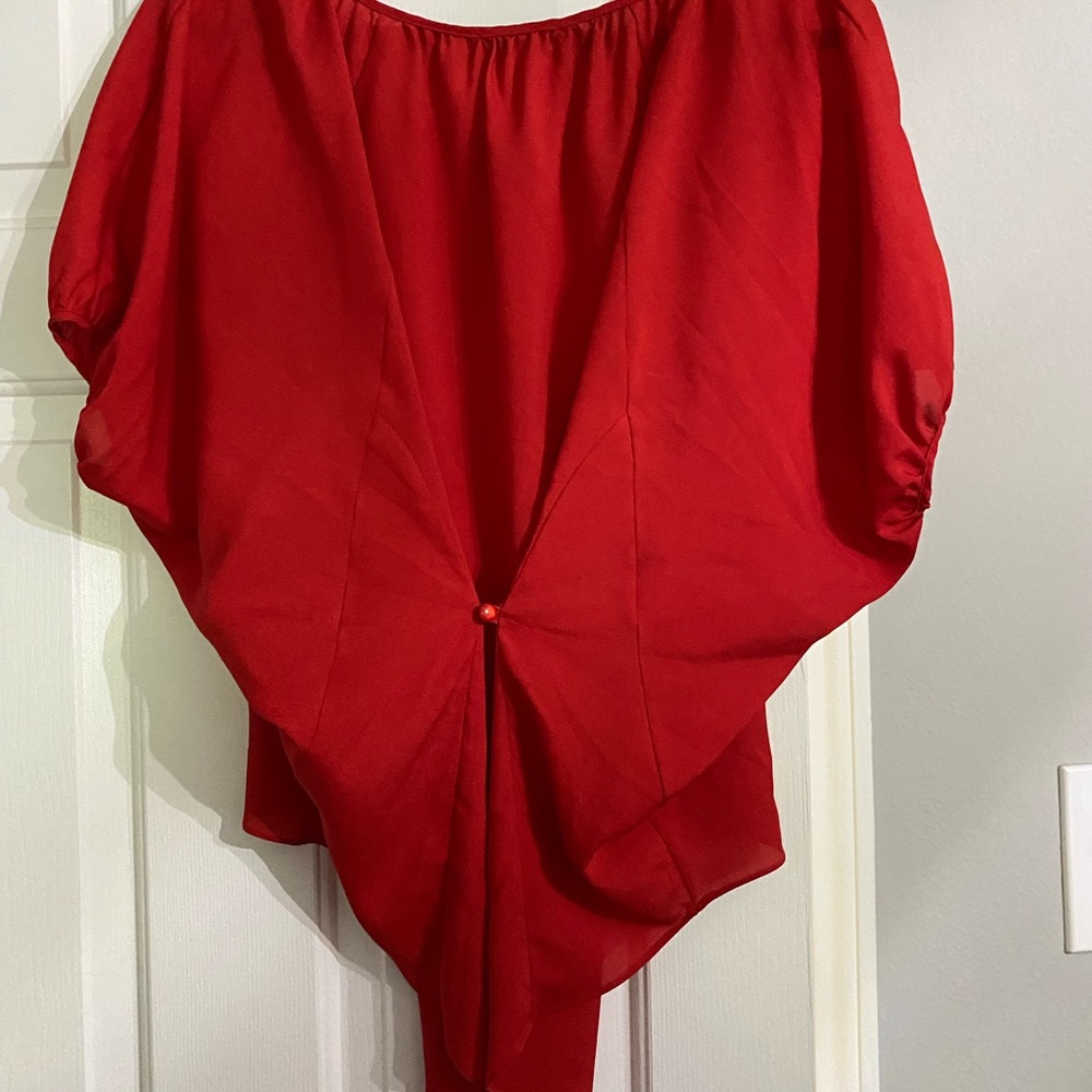 Red Blouse - image 1